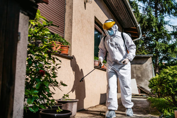 Best Wasp Removal Services  in Eastpointe, MI