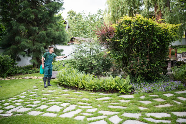 Best Pest Control Near Me  in Eastpointe, MI