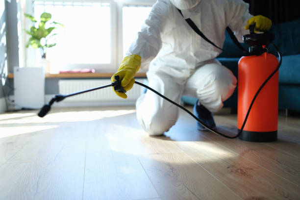Best Flea Control Services  in Eastpointe, MI
