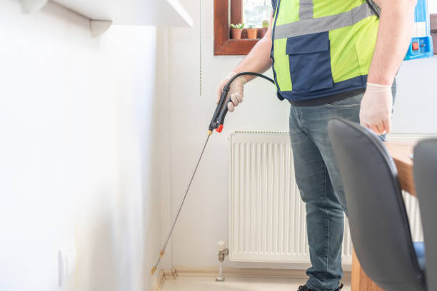 Best Ant Control Services  in Eastpointe, MI