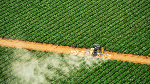 Best Commercial Pest Control Services  in Eastpointe, MI
