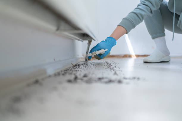 Best Best Pest Control Companies  in Eastpointe, MI