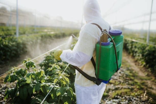 Professional Pest Control in Eastpointe, MI